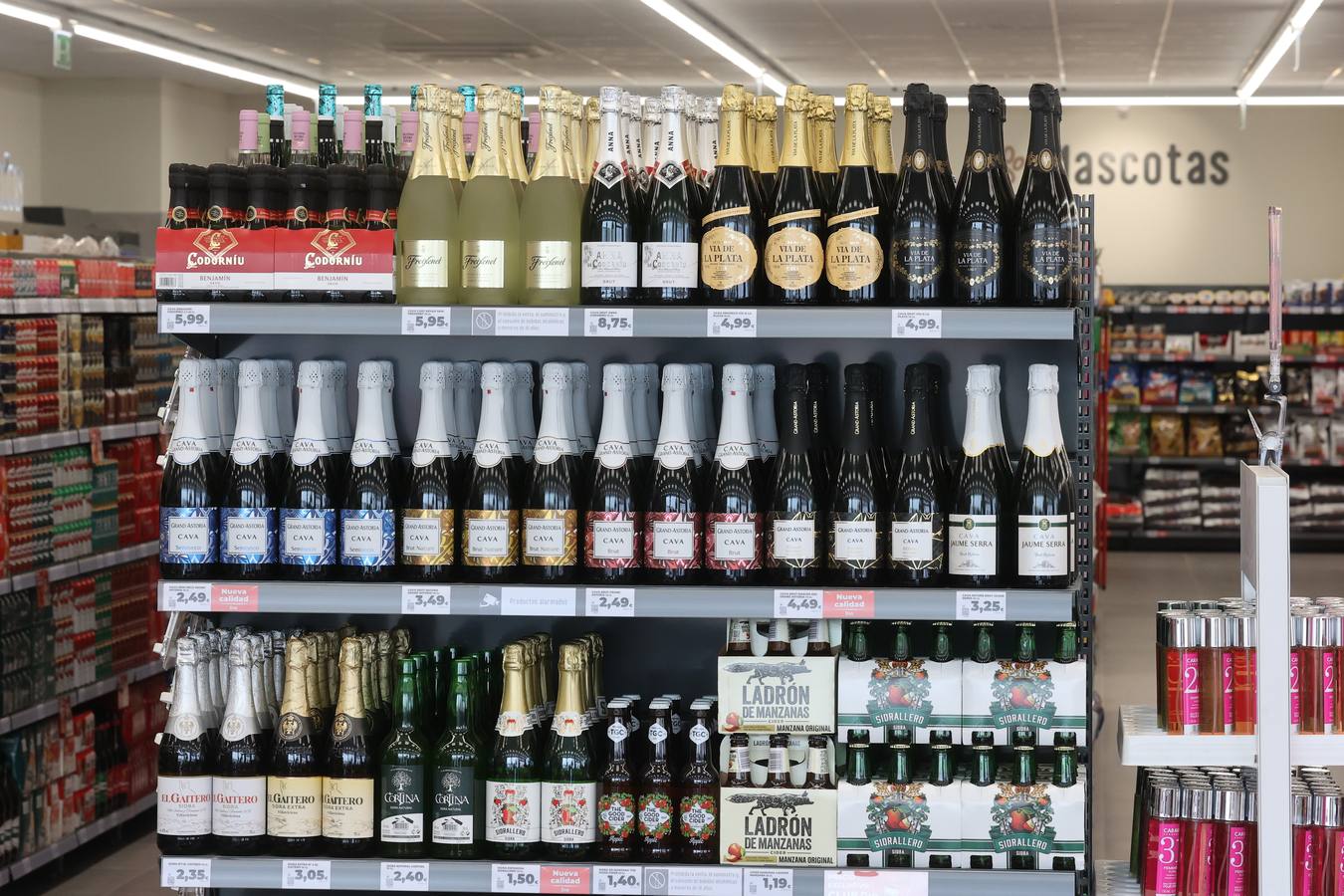 Fotos: Dia abre su nuevo supermercado en la avenida del Brillante de Córdoba