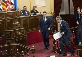 Moreno, «sorprendido» por el cargo de Espadas como portavoz en el Senado: «Andalucía merece una oposición a tiempo completo»