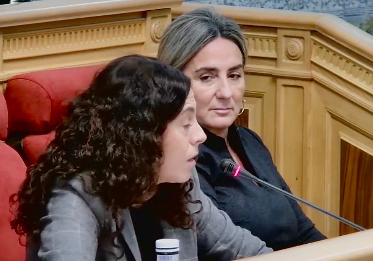 Milagros Tolón durante el pleno de este jueves en el Ayuntamiento