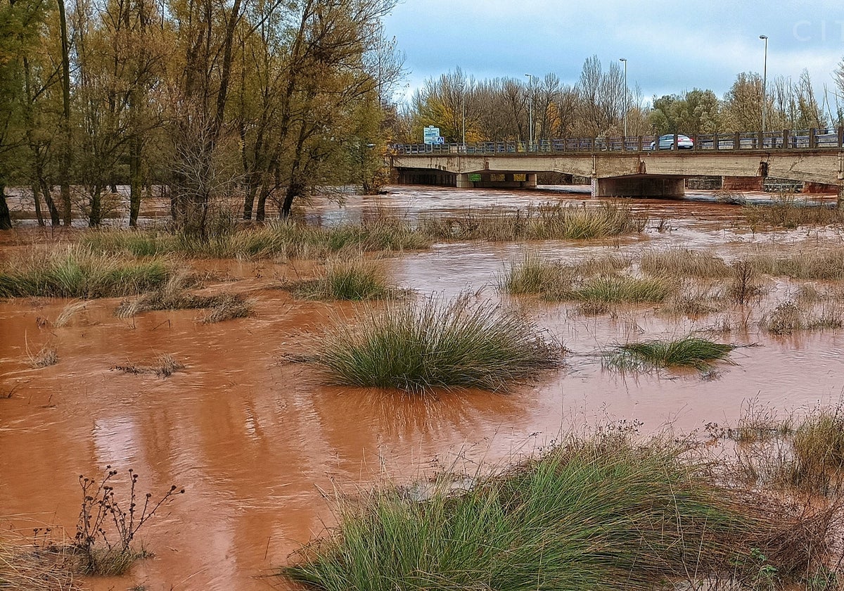 El río Arlanza a su paso por la localidad burgalesa