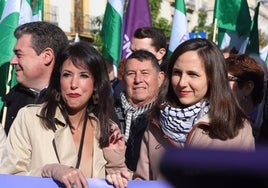 La izquierda andaluza arremete contra Juanma Moreno en la manifestación convocada por la Plataforma 4D