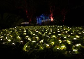 Así es el espectáculo de luces de Navidad en el Jardín Botánico de Málaga: horarios y entradas