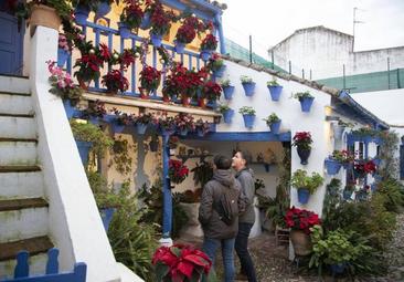 Navidad en los Patios de Córdoba: fechas, horarios y cuáles son