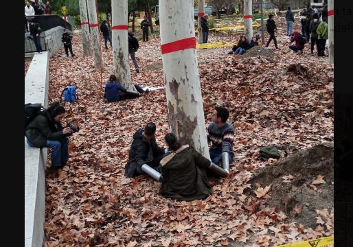 Varios activistas rodean los árboles durante su acción de protesta