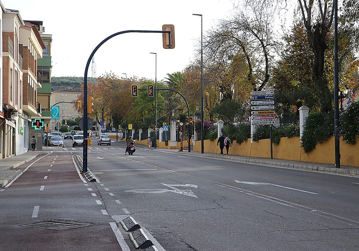 Avenida del Parque y Paseo de Rojas