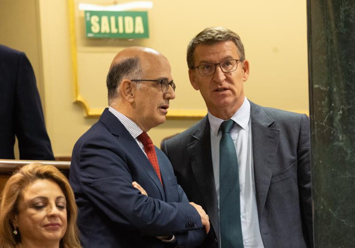 Alberto Núñez Feijóo junto al diputado de UPN Alberto Catalán