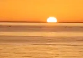 Una manada de delfines sorprende al amanecer frente a la costa de Torremolinos
