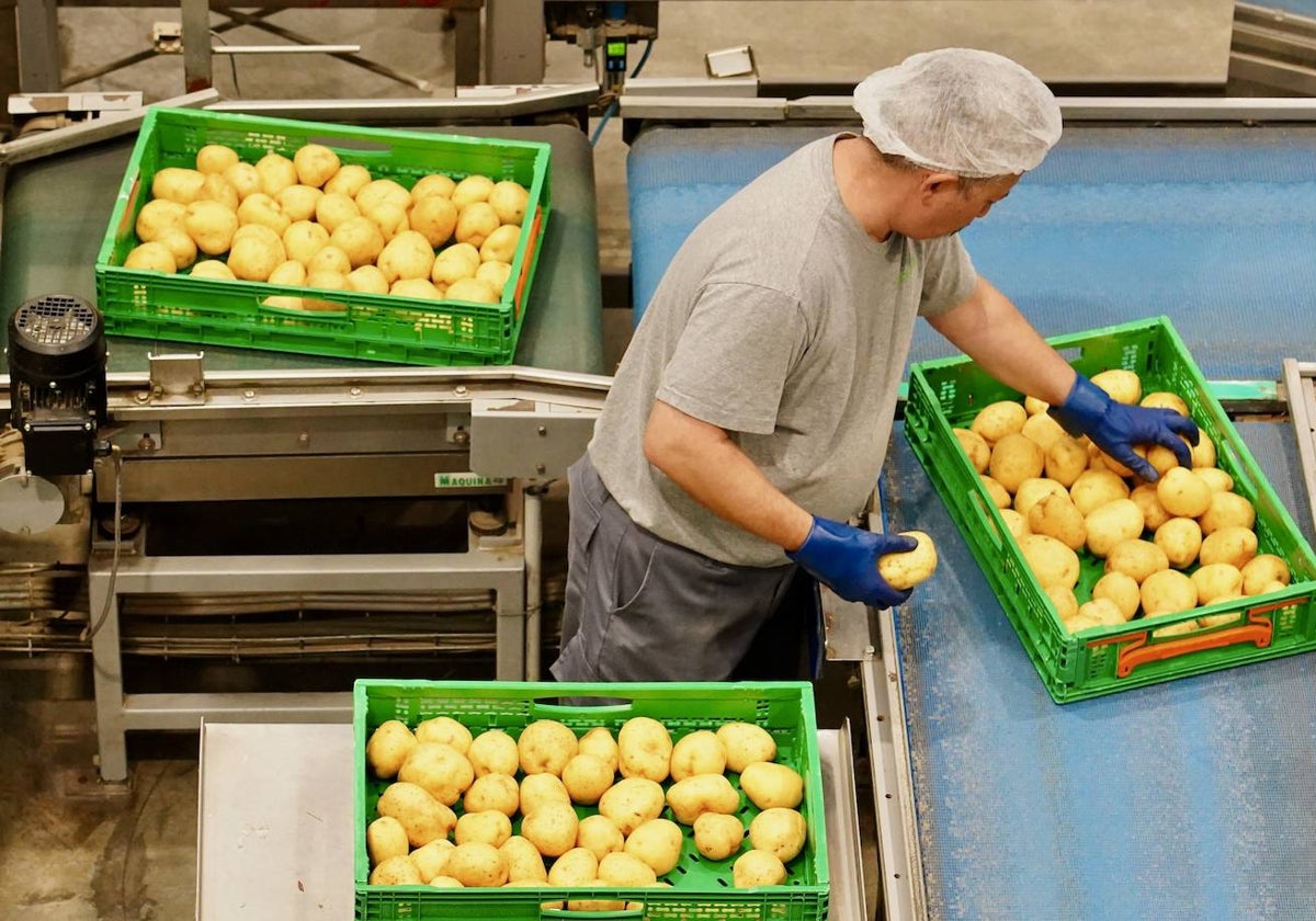 Fábrica Patatas Hijolusa en Ribaseca (León). Foto de archivo