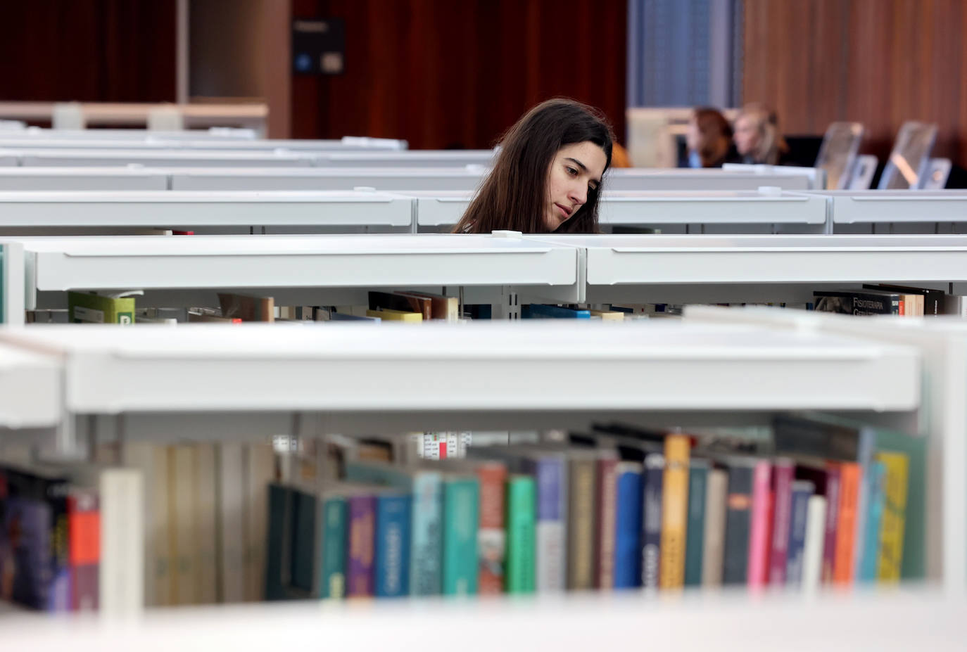 Fotos: la Biblioteca Grupo Cántico de Córdoba, en la recta final de los preparativos