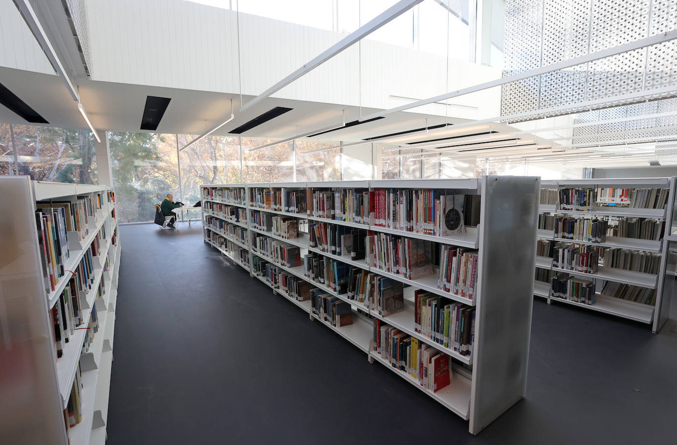 Fotos: la Biblioteca Grupo Cántico de Córdoba, en la recta final de los preparativos