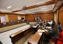 Luz verde definitiva a las ordenanzas fiscales de Córdoba para 2024, que incluye la bonificación del IBI para el Casco