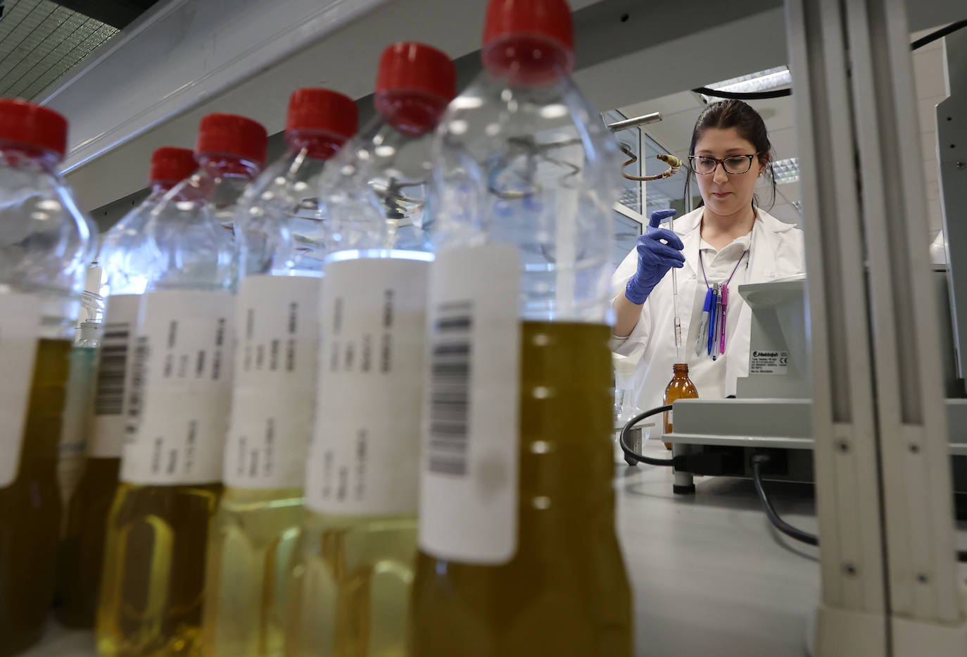 Fotos: así es la imponente planta de Deoleo en Córdoba