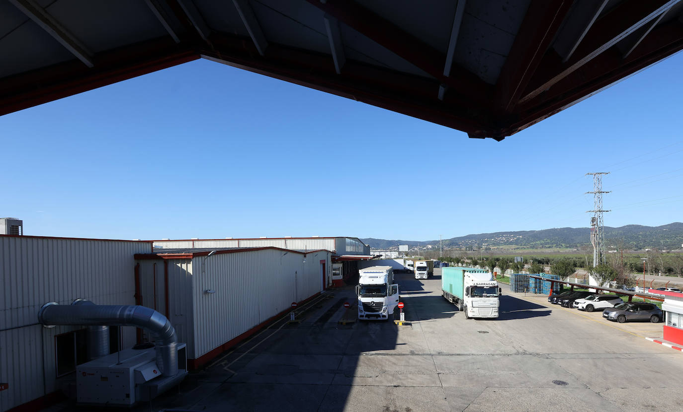 Fotos: así es la imponente planta de Deoleo en Córdoba