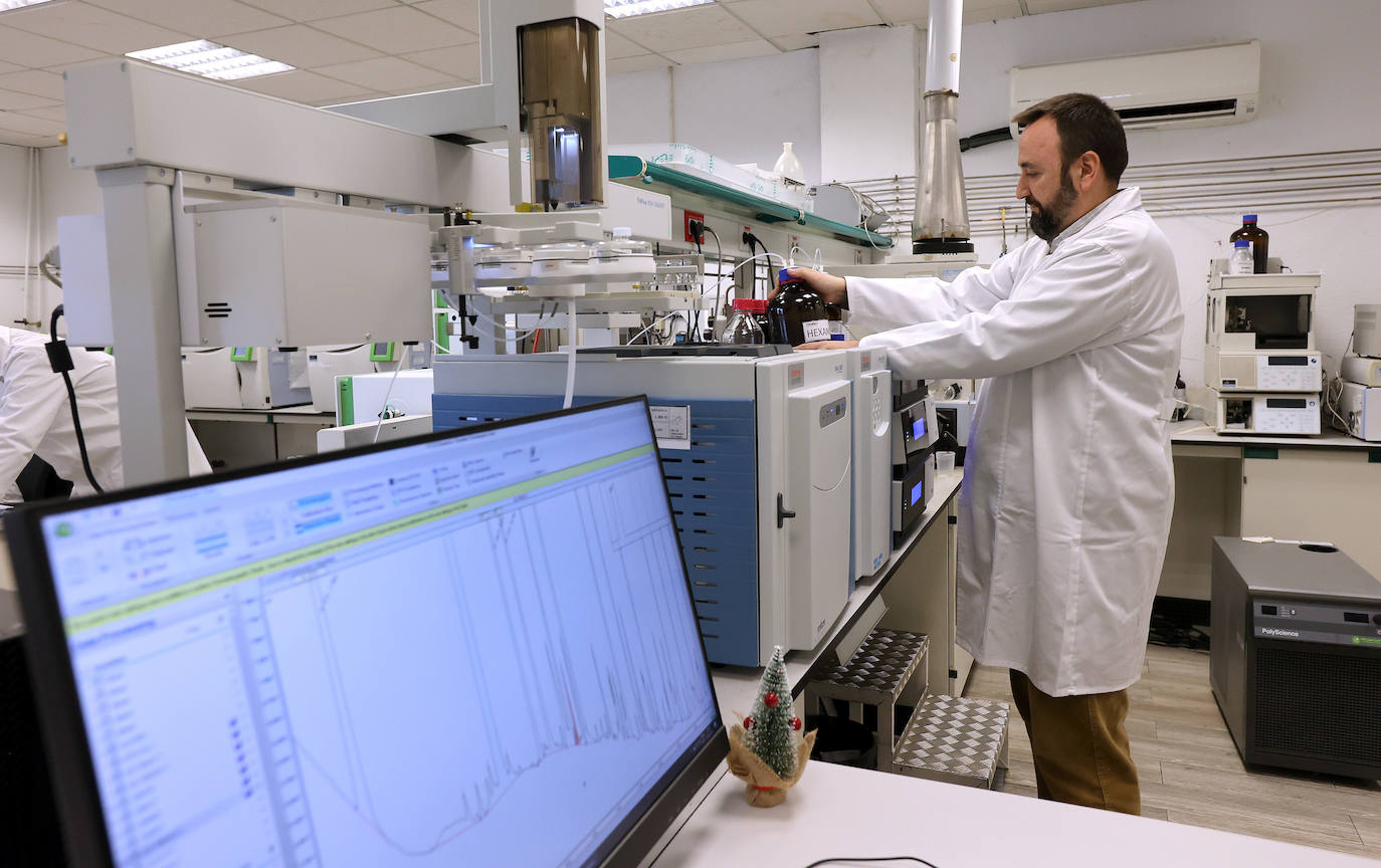 Fotos: así es la imponente planta de Deoleo en Córdoba