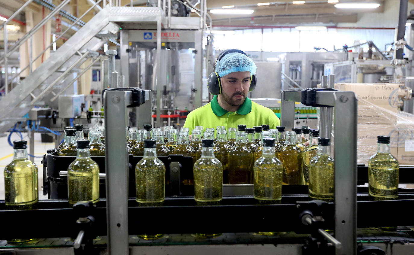 Fotos: así es la imponente planta de Deoleo en Córdoba