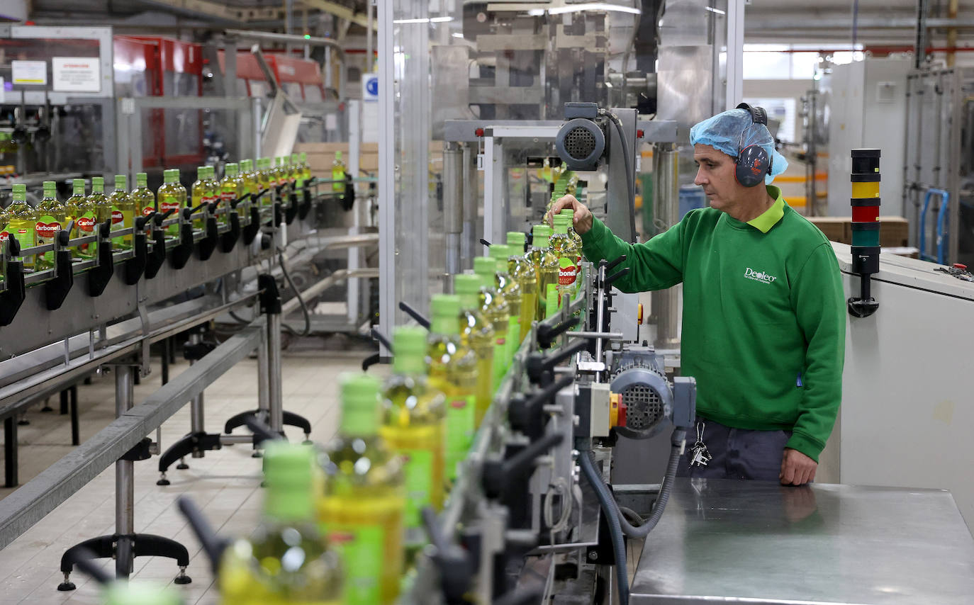 Fotos: así es la imponente planta de Deoleo en Córdoba