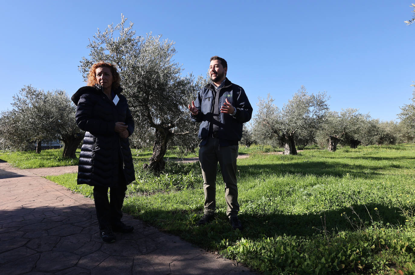 Fotos: así es la imponente planta de Deoleo en Córdoba