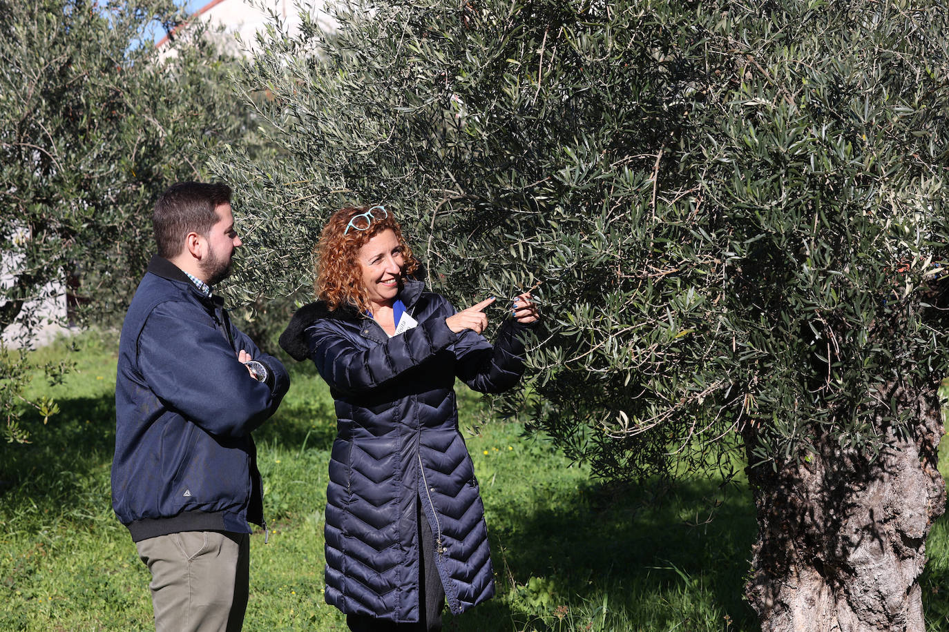 Fotos: así es la imponente planta de Deoleo en Córdoba