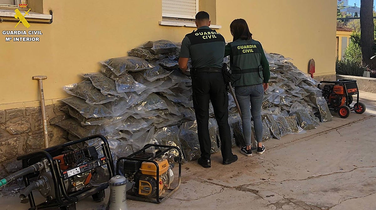 Imagen de la media tonelada de marihuana intervenida a la banda criminal