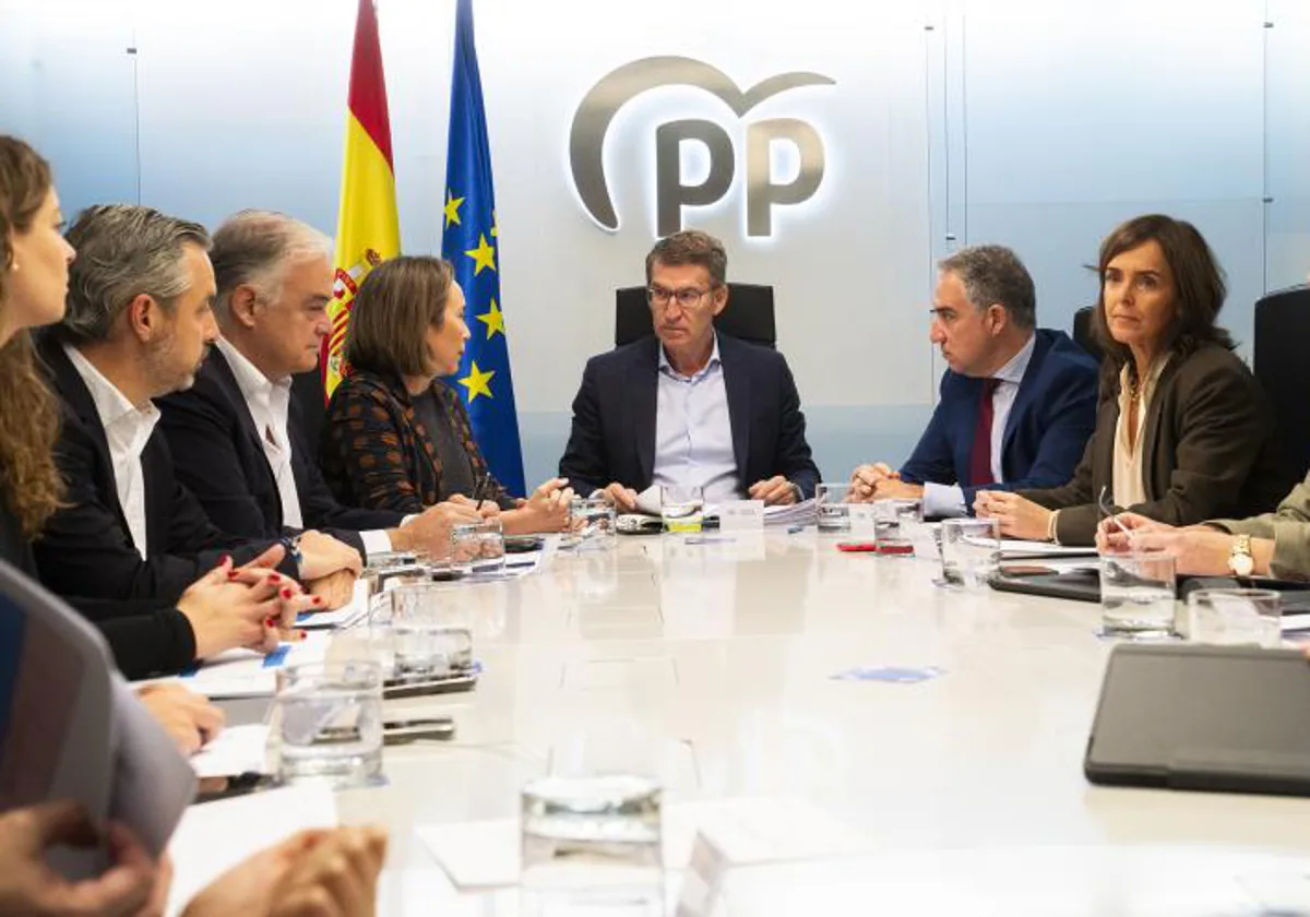 El presidente del PP, Alberto Nuñez Feijóo, durante la última reunión del Comité de Dirección del PP