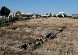 Ocho asociaciones de Córdoba urgen a sacar del «abandono» al yacimiento de Cercadilla