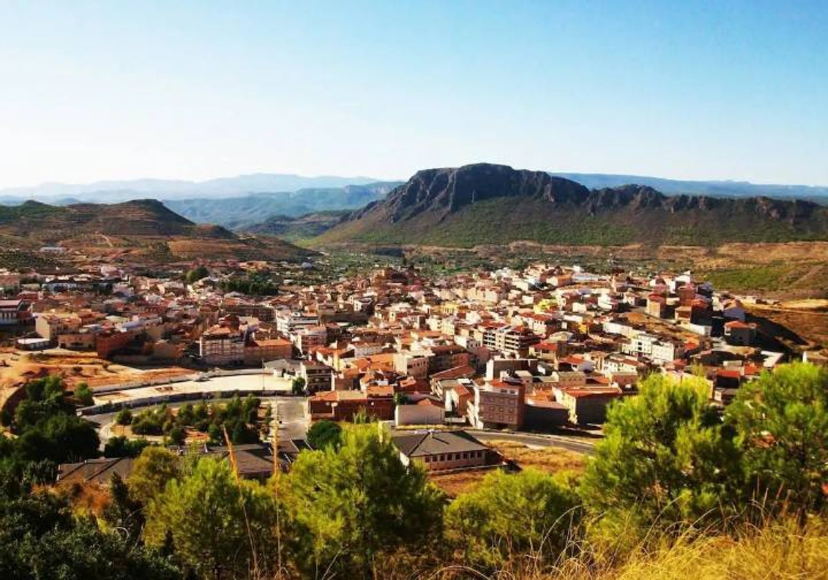 Imagen de archivo de Elche de la Sierra