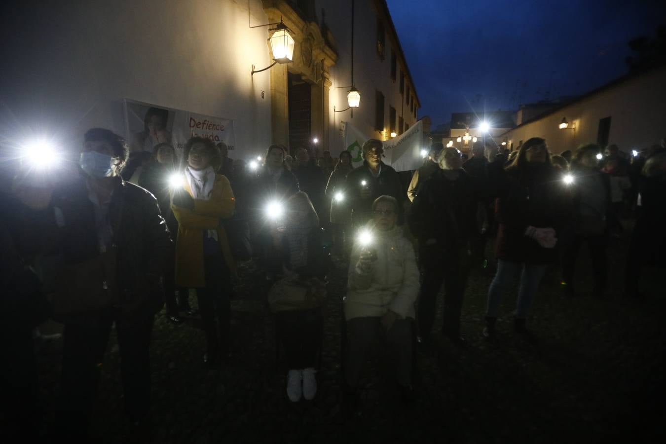 Fotos: luz en defensa de los más inocentes en Córdoba