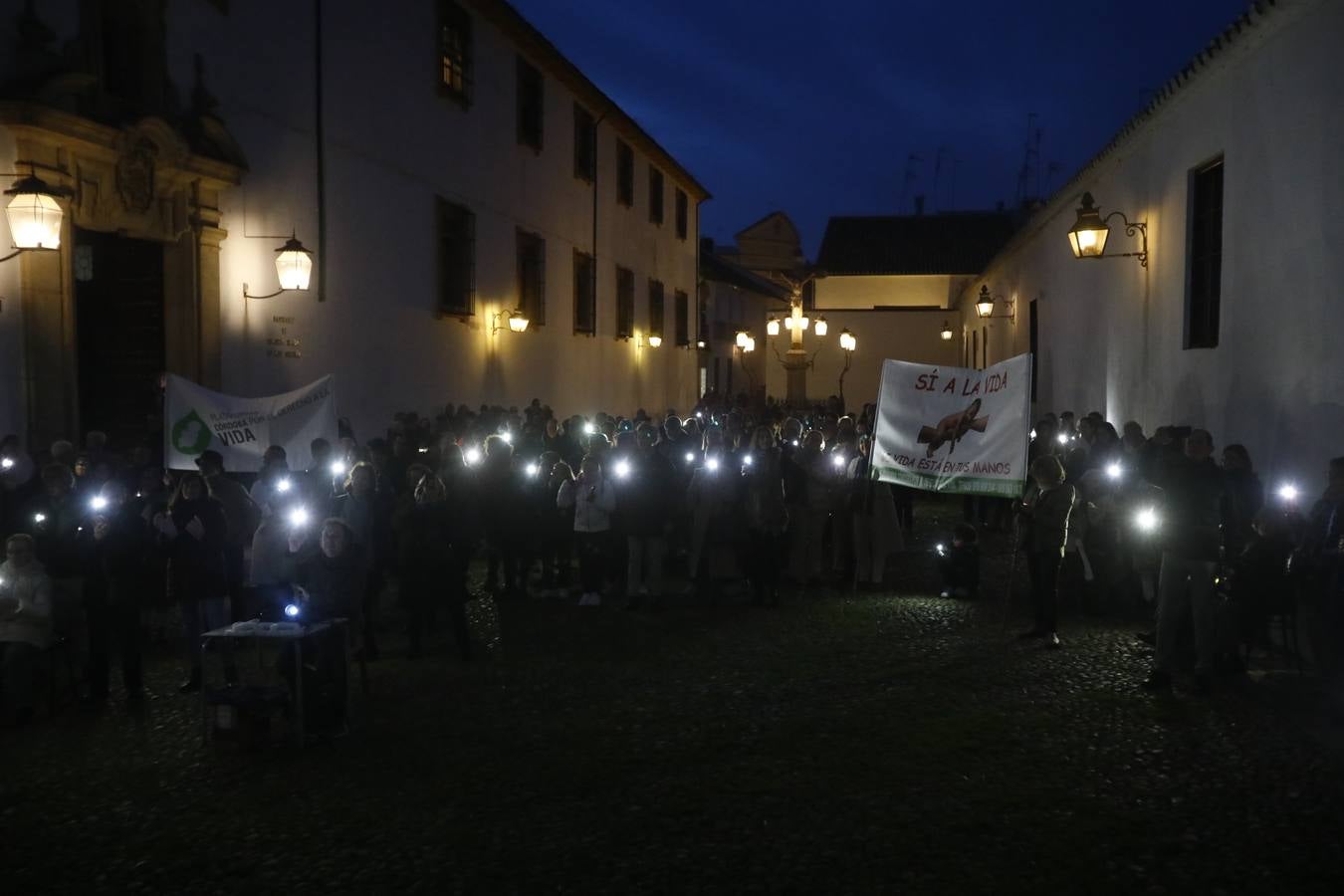 Fotos: luz en defensa de los más inocentes en Córdoba