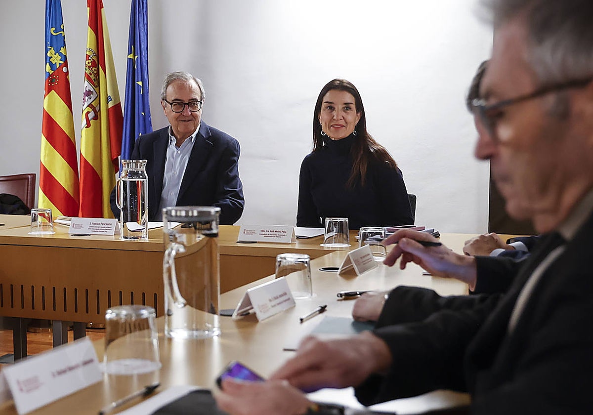 Imagen de Ruth Merino en su reunión con los expertos sobre la Reforma del Sistema de Financiación