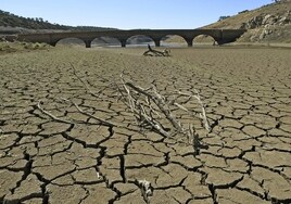 El PP llenó las urnas y la sequía vació los pantanos en Andalucía