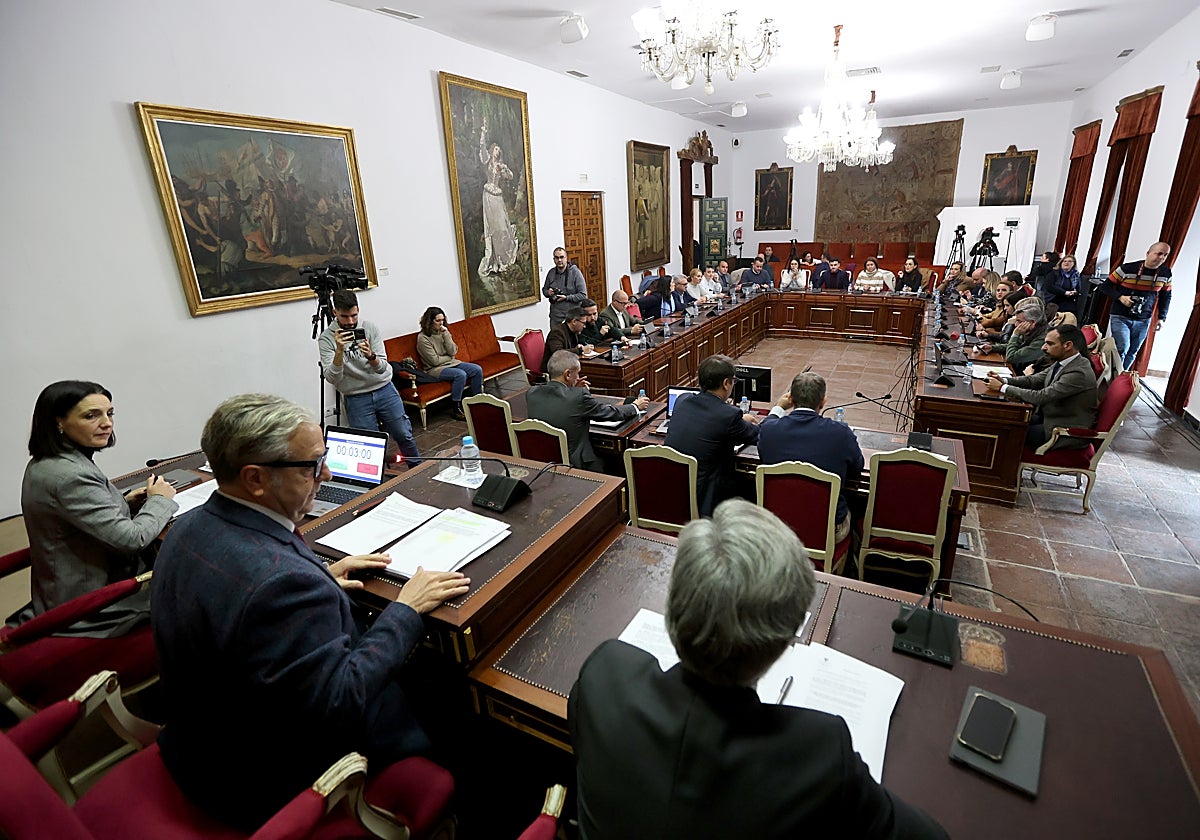El pleno de la Diputación de Córdoba, este viernes