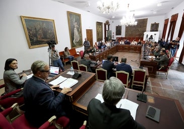 La Diputación de Córdoba entrega 65,3 millones a 69 ayuntamientos para la ayuda a domicilio