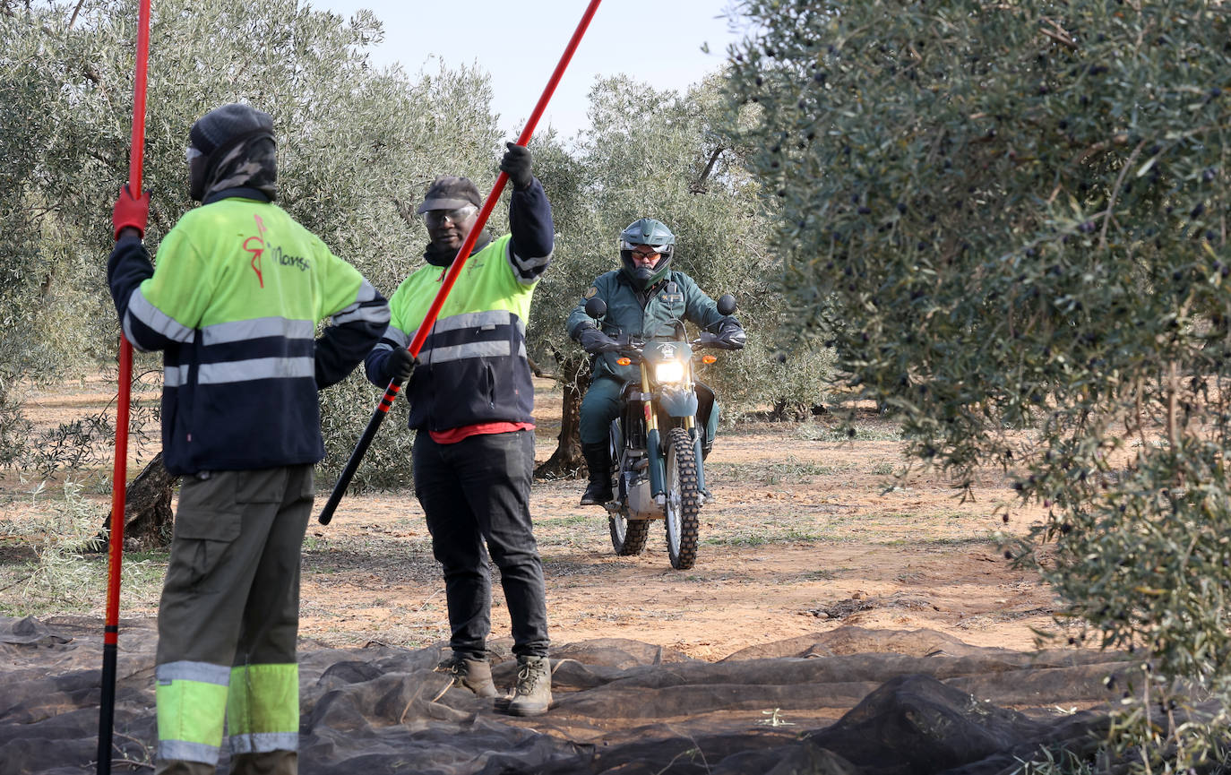 Fotos: un día en las entrañas del Equipo Roca de la Guardia Civil