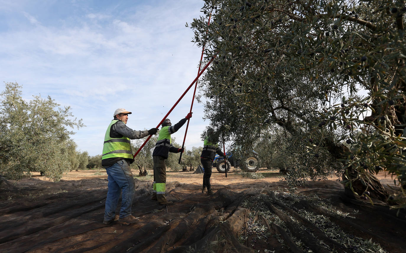 Fotos: un día en las entrañas del Equipo Roca de la Guardia Civil