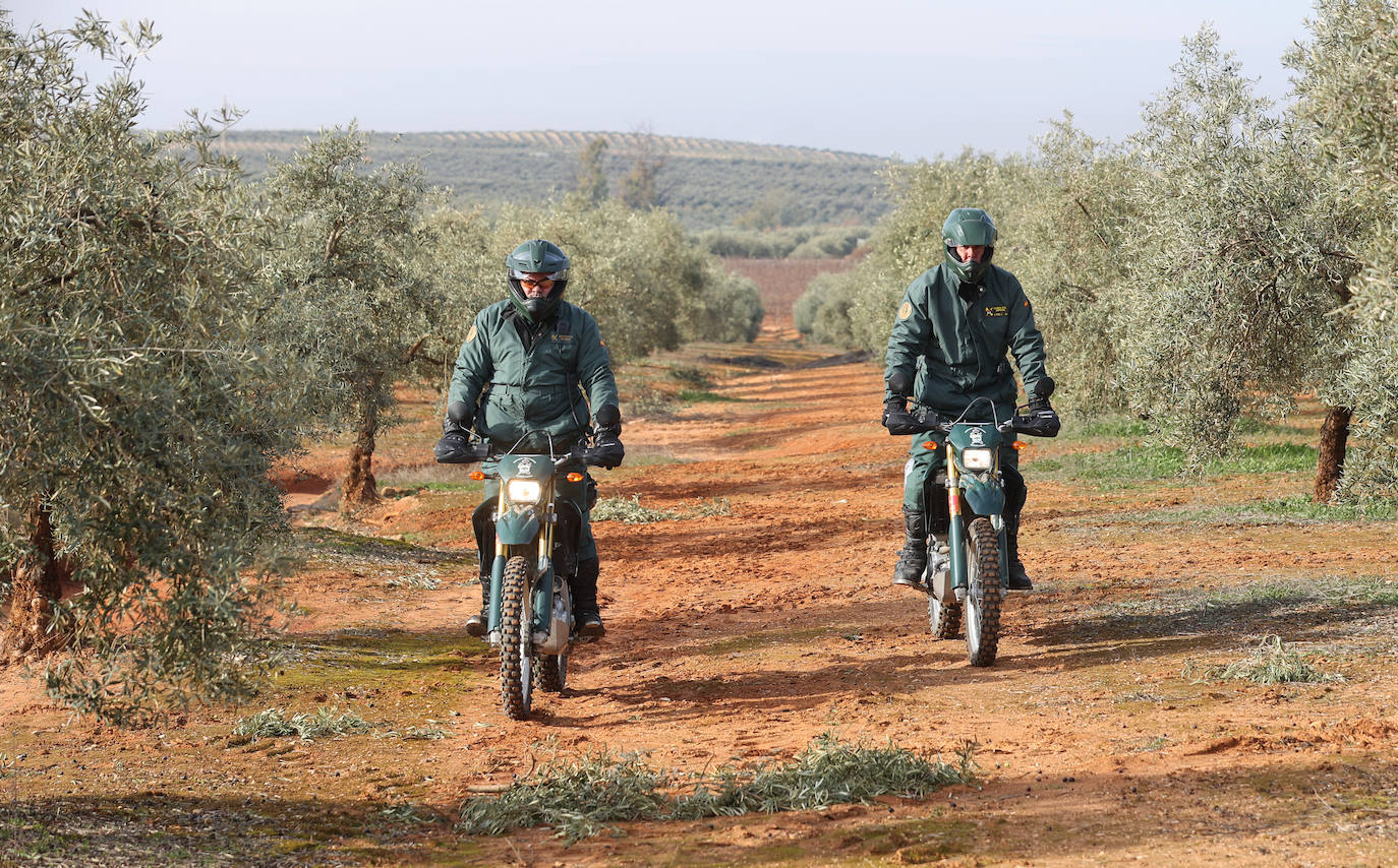 Fotos: un día en las entrañas del Equipo Roca de la Guardia Civil