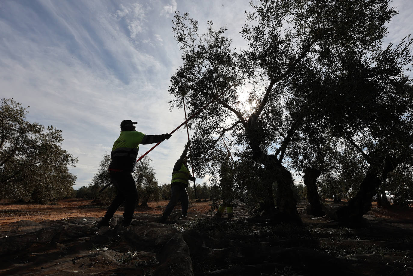 Fotos: un día en las entrañas del Equipo Roca de la Guardia Civil