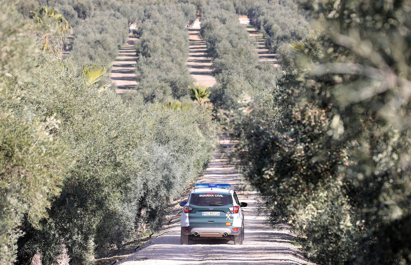 Fotos: un día en las entrañas del Equipo Roca de la Guardia Civil