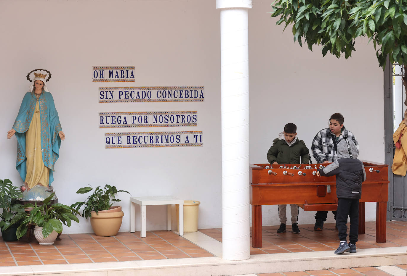 Fotos: el trabajo solidario del proyecto La Puerta Verde en el Guadalquivir