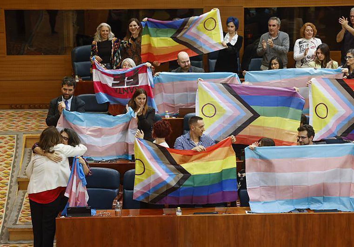 Los diputados de Más Madrid, durante el debate de la reforma de la leyt