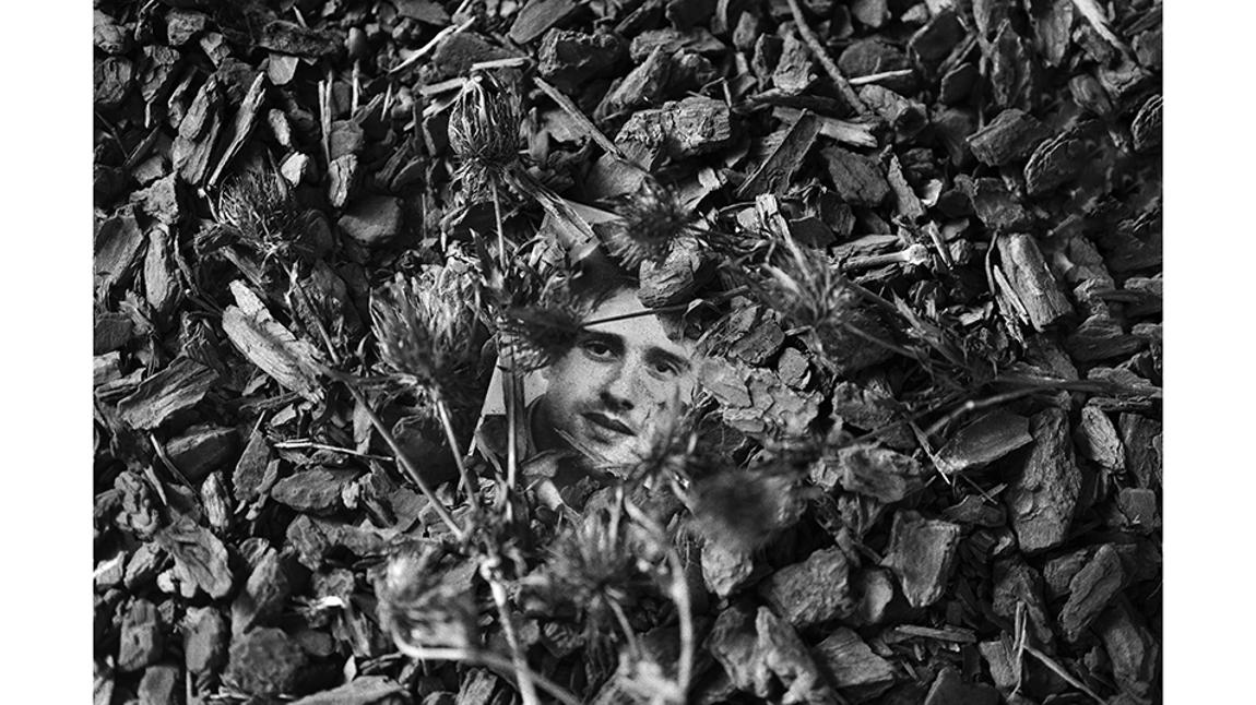 La mirada de Álvaro Ybarra: el legado de Pedro Sánchez