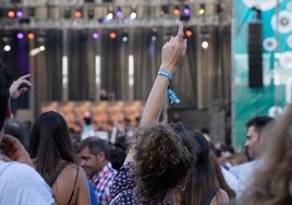 Los conciertos y festivales de Málaga que no te puedes perder en 2024: fechas y entradas