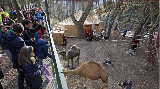 Imagen de archivo de animales en el campamento de los Reyes Magos en Alcoy