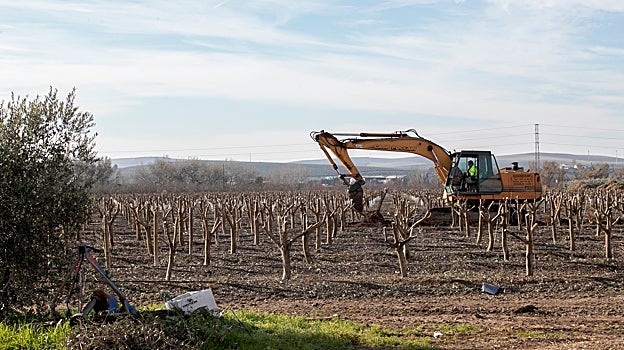 Doce grandes e importantes obras por más de 145 millones de euros abrirán Córdoba en canal durante 2024