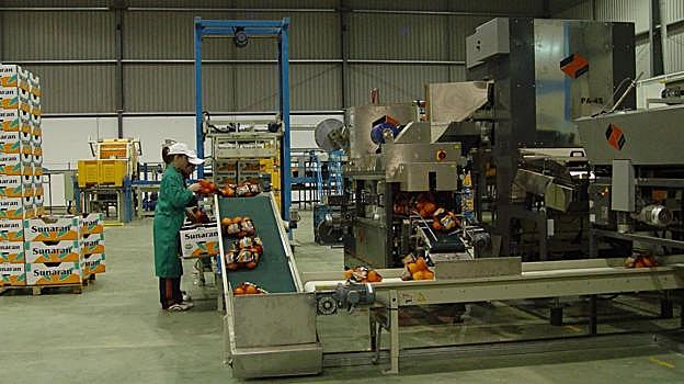 Instalaciones de agroindustria de los cítricos en Palma del Río