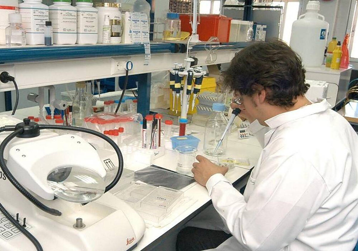 Las ayudas &#039;Juan Carlos Izpisúa&#039; ayudarán a la investigación de 15 proyectos sociosanitarios