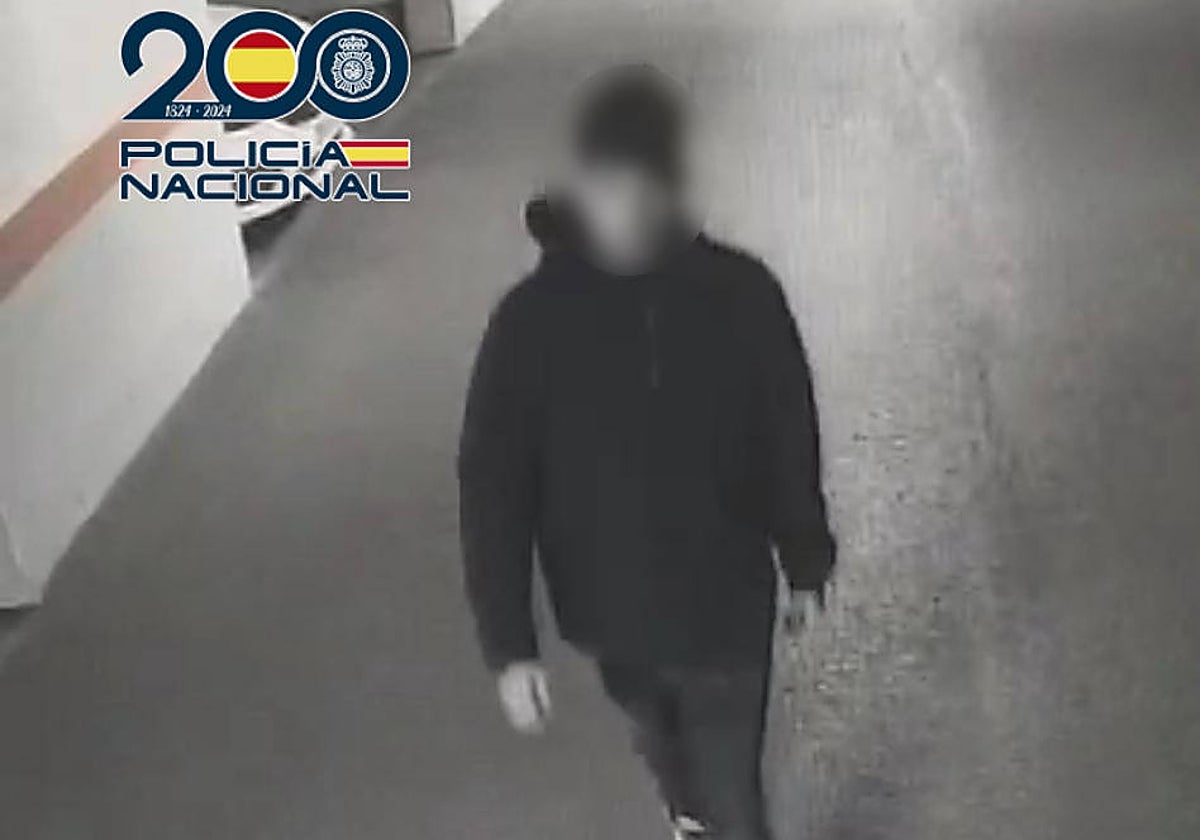 Imagen del ladrón captada por las cámaras de seguridad del garaje de la urbanización