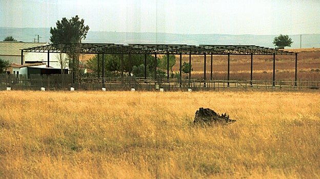 Salvad Turruñuelos: el edificio más grande del mundo
