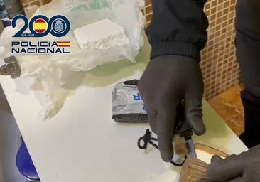 Diez detenidos y desmantelada una red que traficaba con cocaína