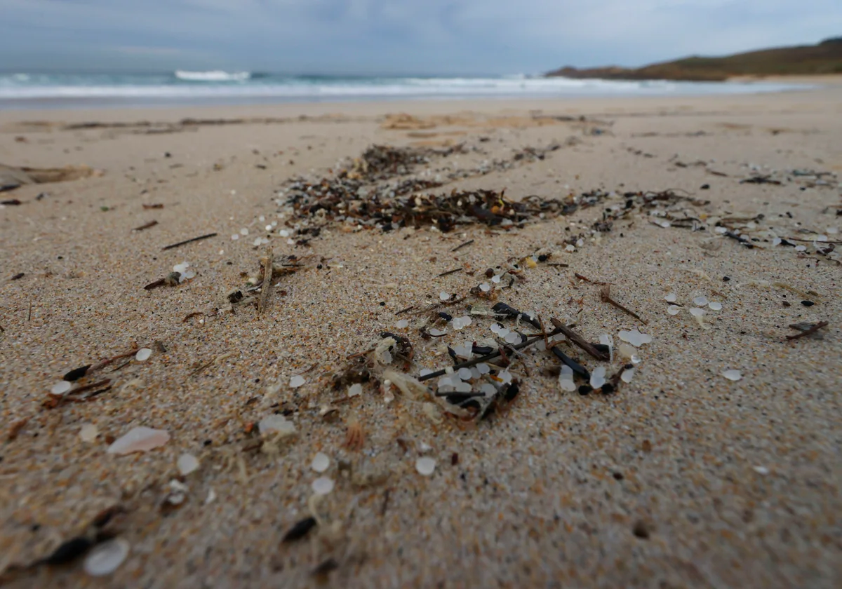 Restos de pellets en la playa de Doniños (Ferrol)