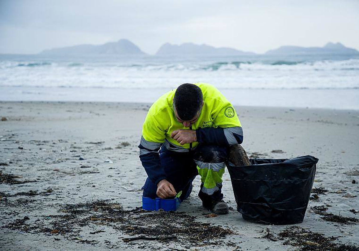 Un trabajador busca pellets entre la arena de una playa de Nigrán (Pontevedra), este martes